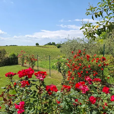 Poggio Affittacamere