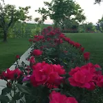 Poggio 3* 巴多利诺