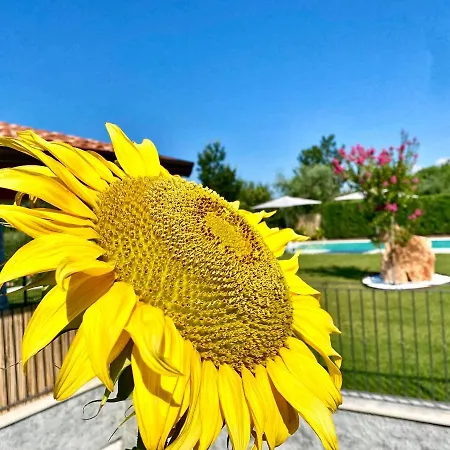 Poggio