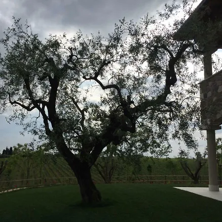 Guest house Poggio