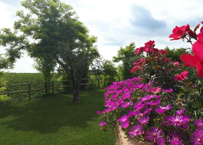 Poggio 3* Бардоліно