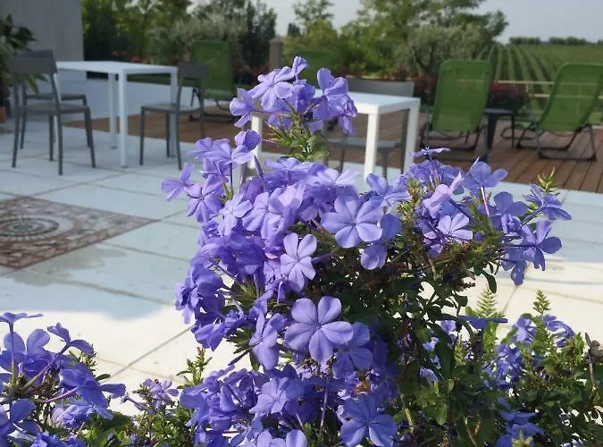 Guest house Poggio Bardolino