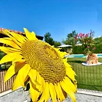 Poggio