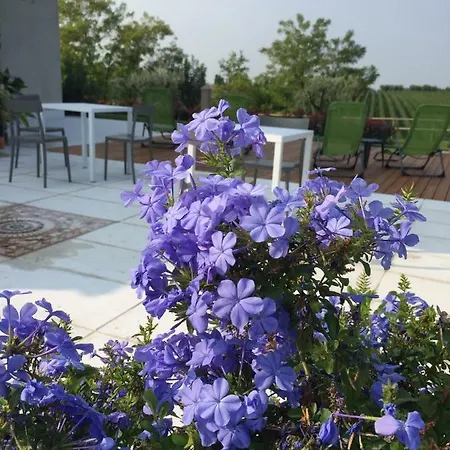 Maison d'hôtes Poggio Bardolino